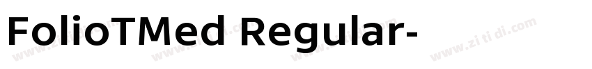 FolioTMed Regular字体转换